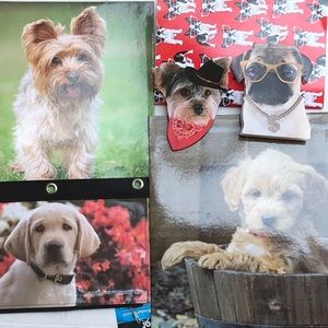 dog lovers school or office set